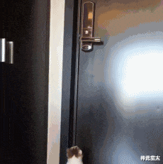 神武星人|“乱的技校可以乱到什么程度？不把老师当老师！”哇哈哈哈