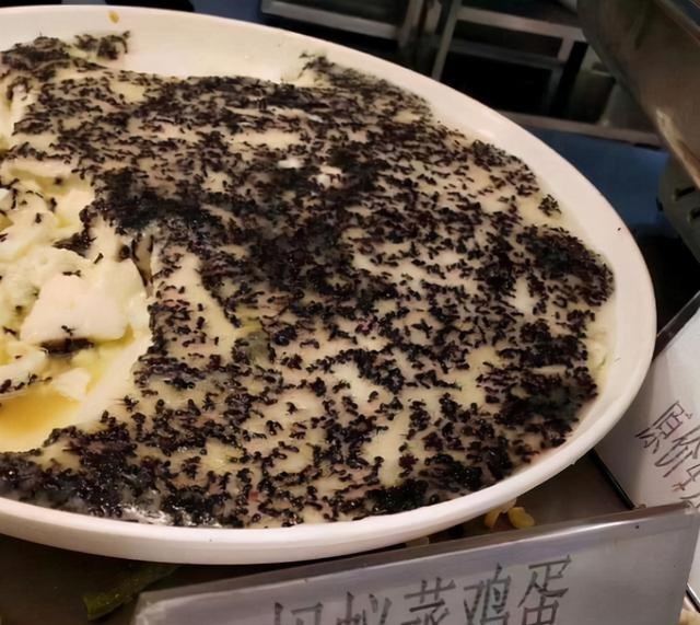 家有二宝育儿|大学出现“阴间食堂”，学生：接地气不是接“地府”，真是不敢进