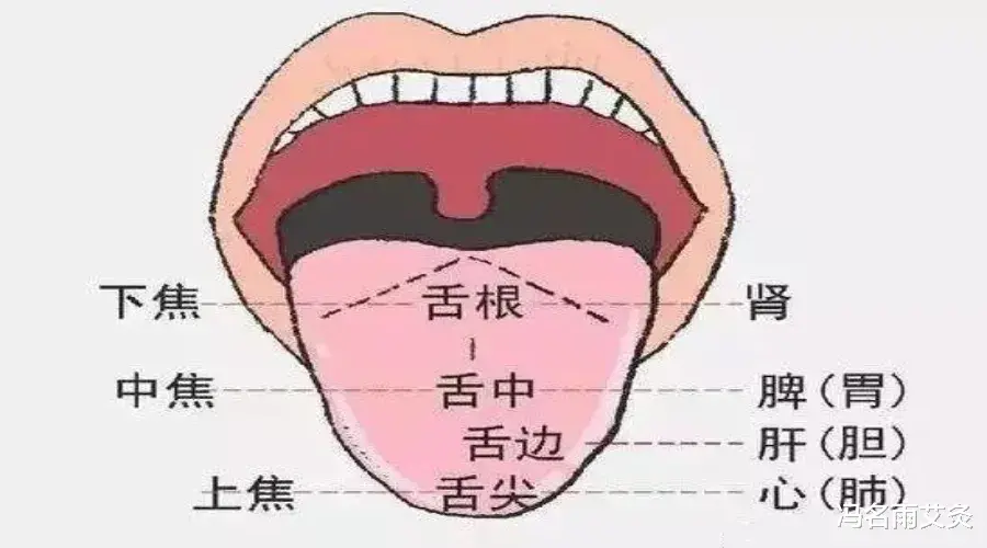 冯名雨艾灸|反复总不好的口腔溃疡，越顽固越有效之调法