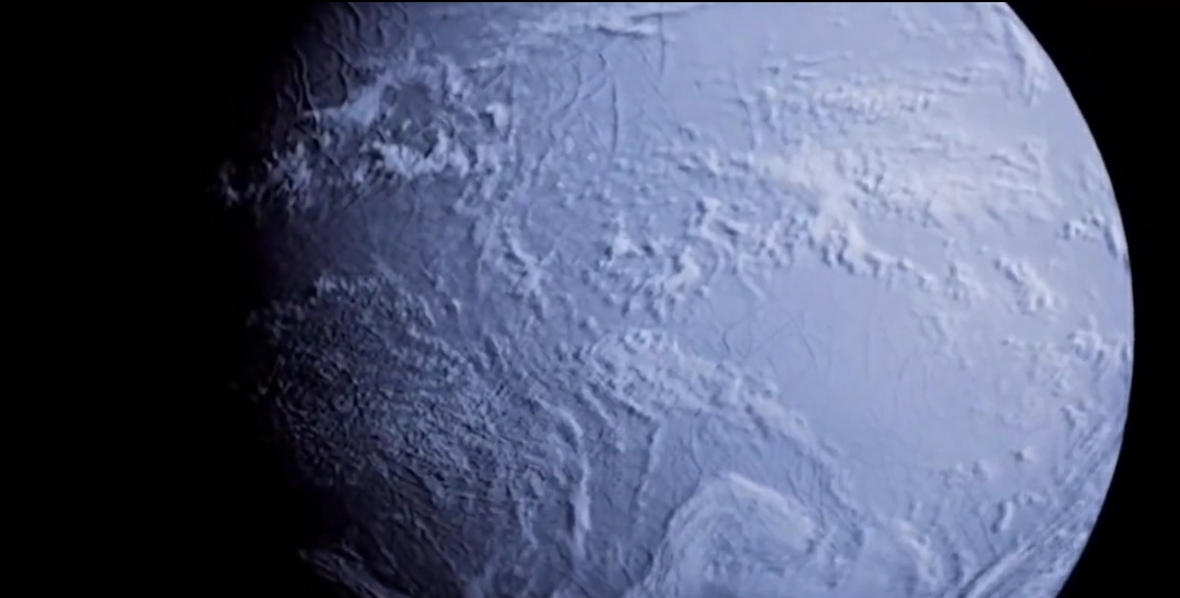 鲨鱼 如果地球突然失去氧气五秒，世界会发生怎样的改变？