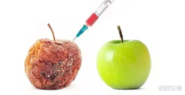 免疫细胞|为什么免疫细胞被称为是人体“最好的医生”？它强你就强!