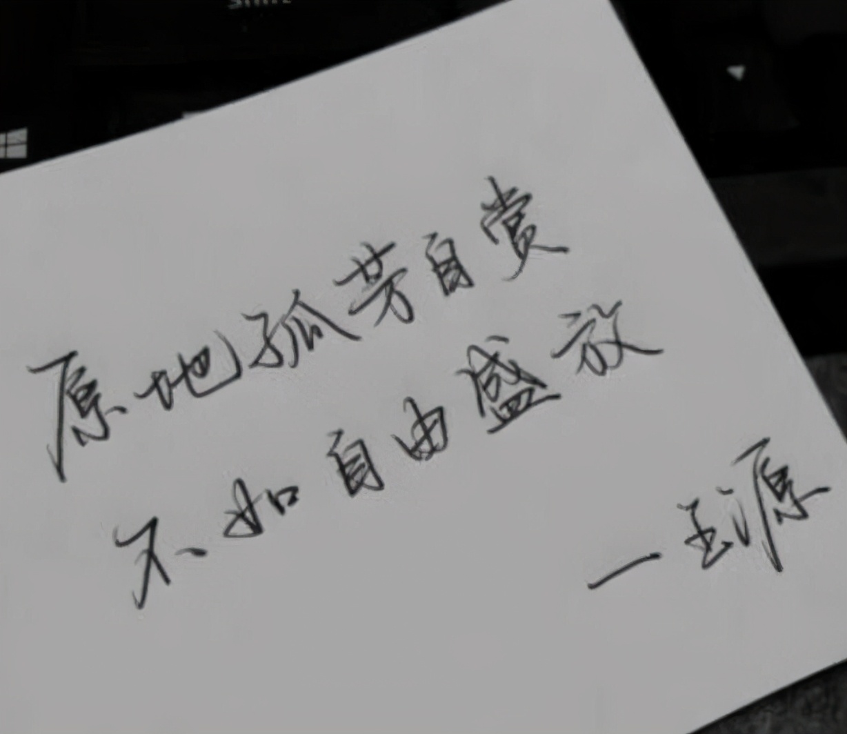 龚俊|明星字迹大PK，赵丽颖字迹凌乱的像小学生，龚俊却惊艳众人