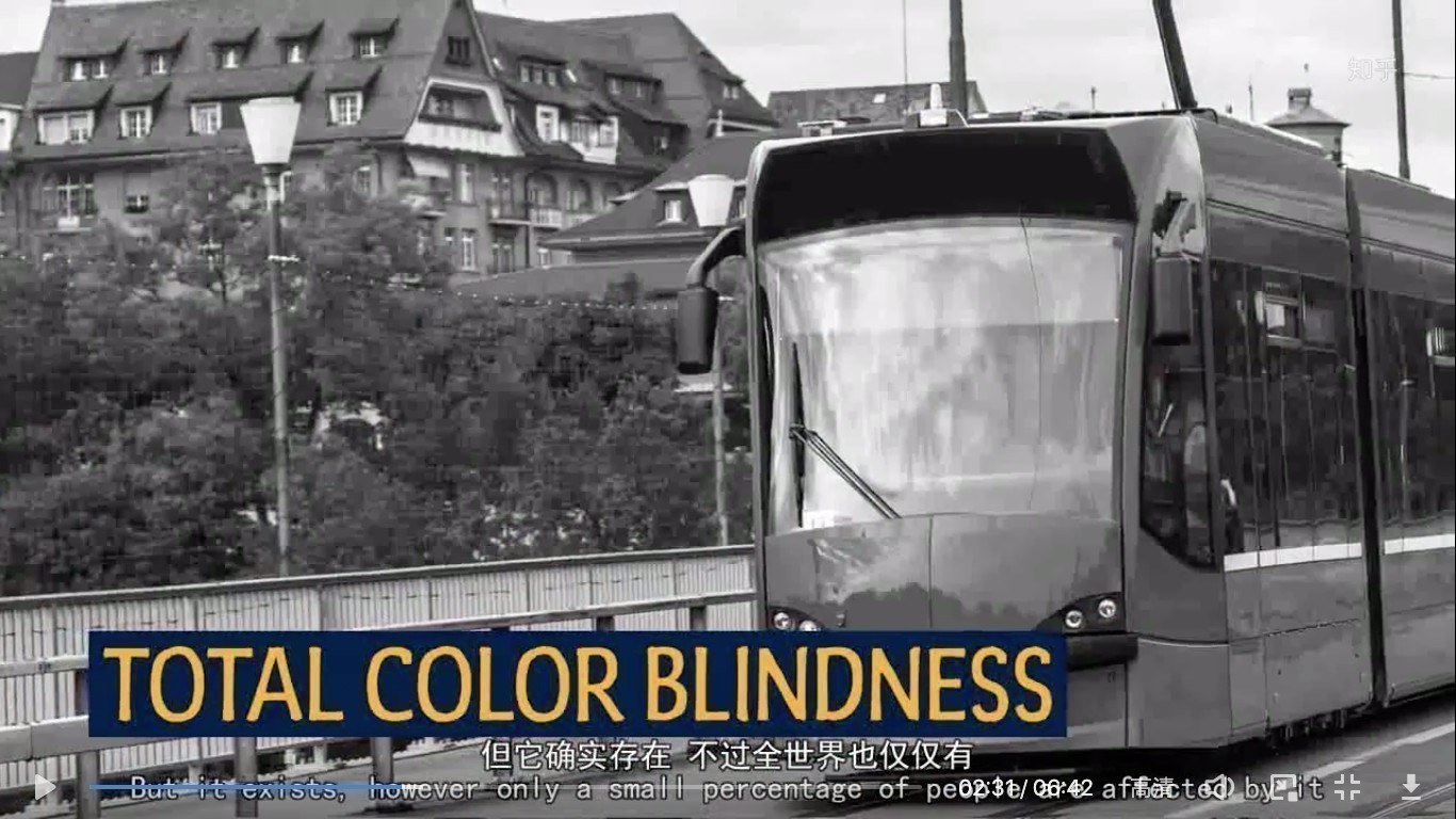 发病率 4组图片告诉你：色盲眼中的世界长什么样？对比普通人有何不同？