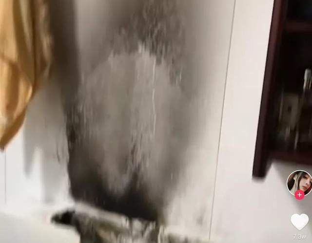 曹颖|明星带货又惹争议，曹颖直播间售卖香薰引发火灾，天花板都被熏黑