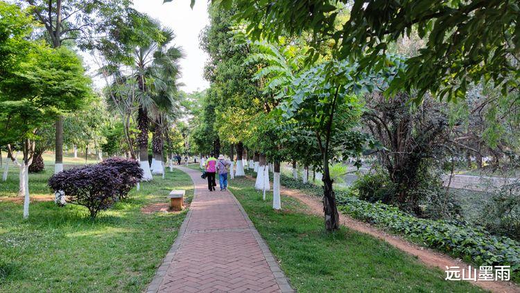 远山墨雨 昆明盘龙江边绿树浓荫、叶子花开，春来江水绿如蓝的景致，美
