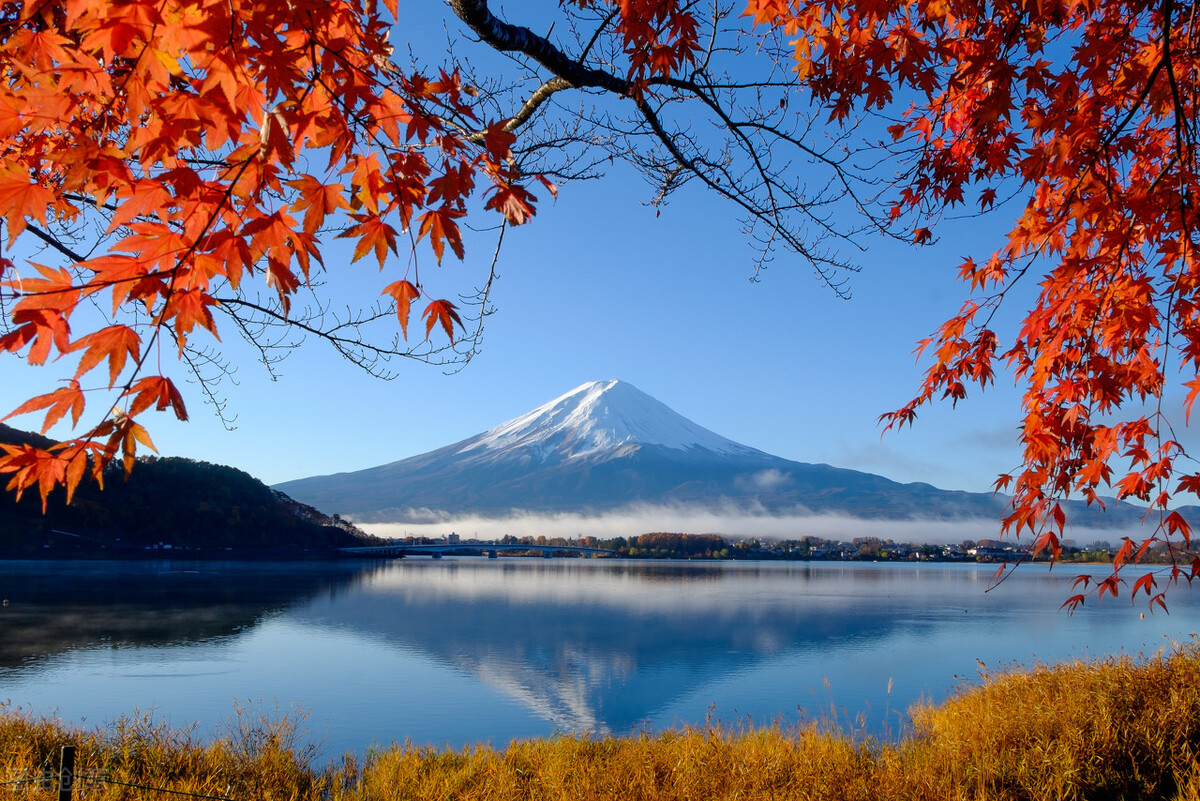 富士山是私人所有，日本妻子也沒那麼好，這些日本冷知識你知多少-圖7