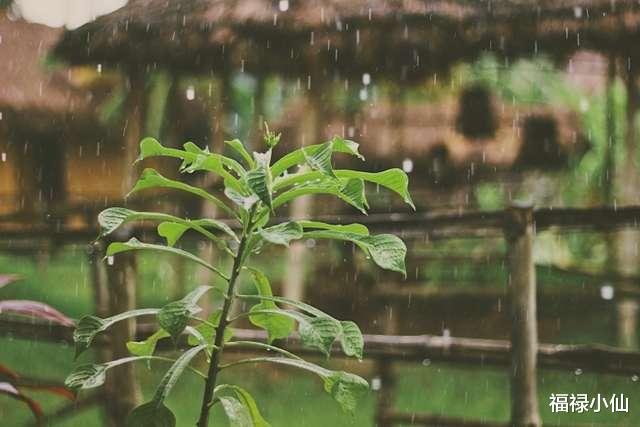 福禄小仙 堪称“及时雨”的4生肖，言出必行，雪中送炭，不求回报，值得信赖