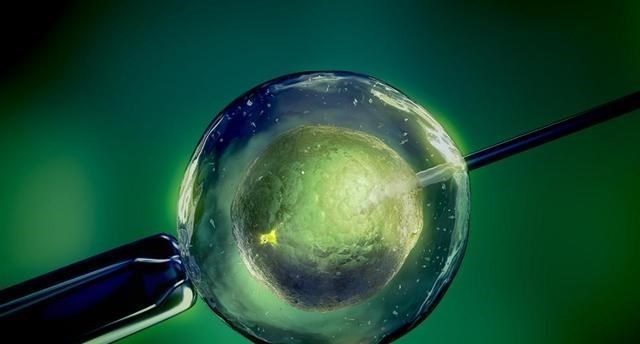 火星 24年前就造出克隆羊,为何不克隆人?看看克隆羊的下场,多恐怖