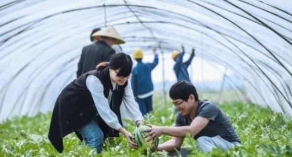 宝贝|校长花3年时间培养的“宝贝”，被农民班毁了，直接全班挂科？