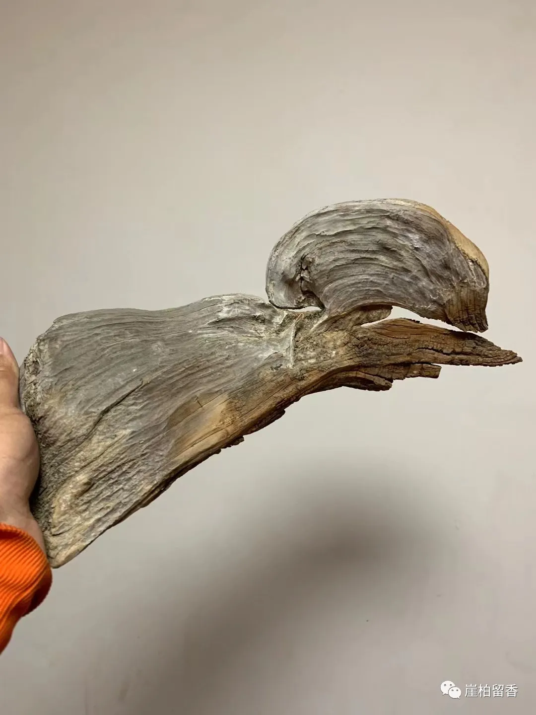 |为何你买崖柏总上当呢？