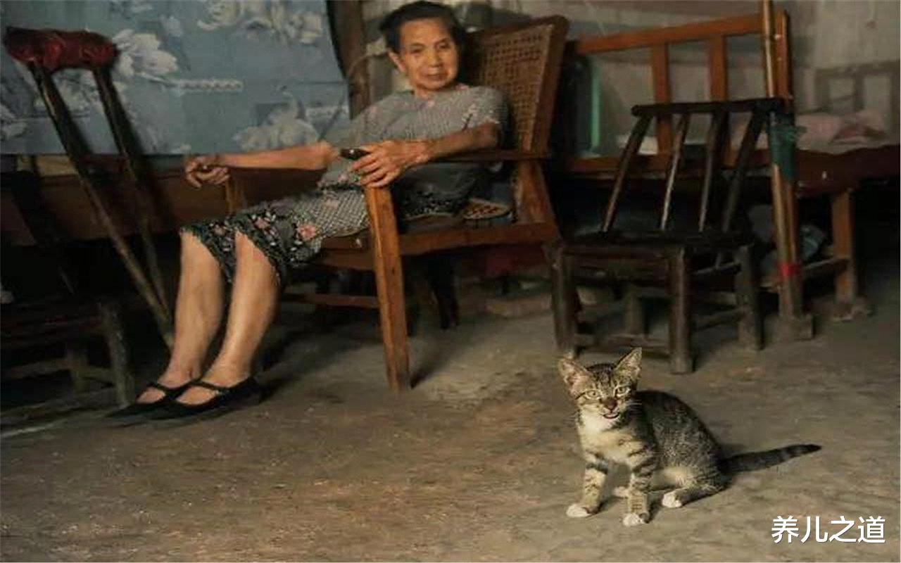 养儿之道|丁克族步入60岁大关,晚年生活将面临三大困境,但很多人不后悔