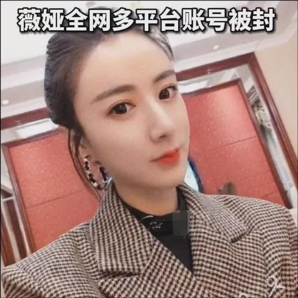 薇娅|薇娅被封杀后，老公现身公司打理后续事宜，司机买菜未见薇娅现身