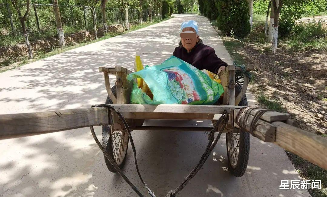 星辰新闻 感动！52岁儿子拉84岁母亲走20里路，售卖药材却舍不得吃午饭