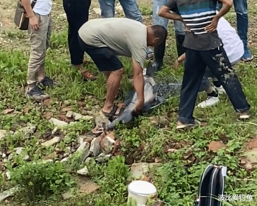 安徽|安徽钓鱼人遇上大青鱼，附近钓友前来帮忙，抄网大哥却遭网友吐槽
