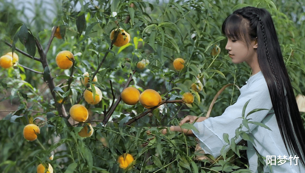 上阳赋|李子柒真容跟视频差距大，她根本不是所谓的“仙女”，却美得另类
