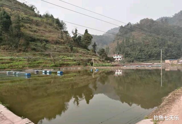 四川省|四川一渔场招“隐居式”管理员，垂钓爱好者心动：让免费钓鱼就行