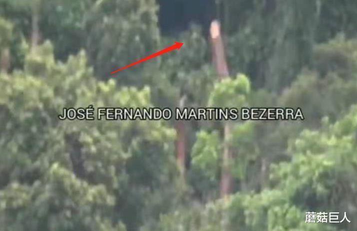 珊瑚礁 去年发生的“红光飞碟”坠毁事件，真相就差一层纸，为什么我们必须不知道