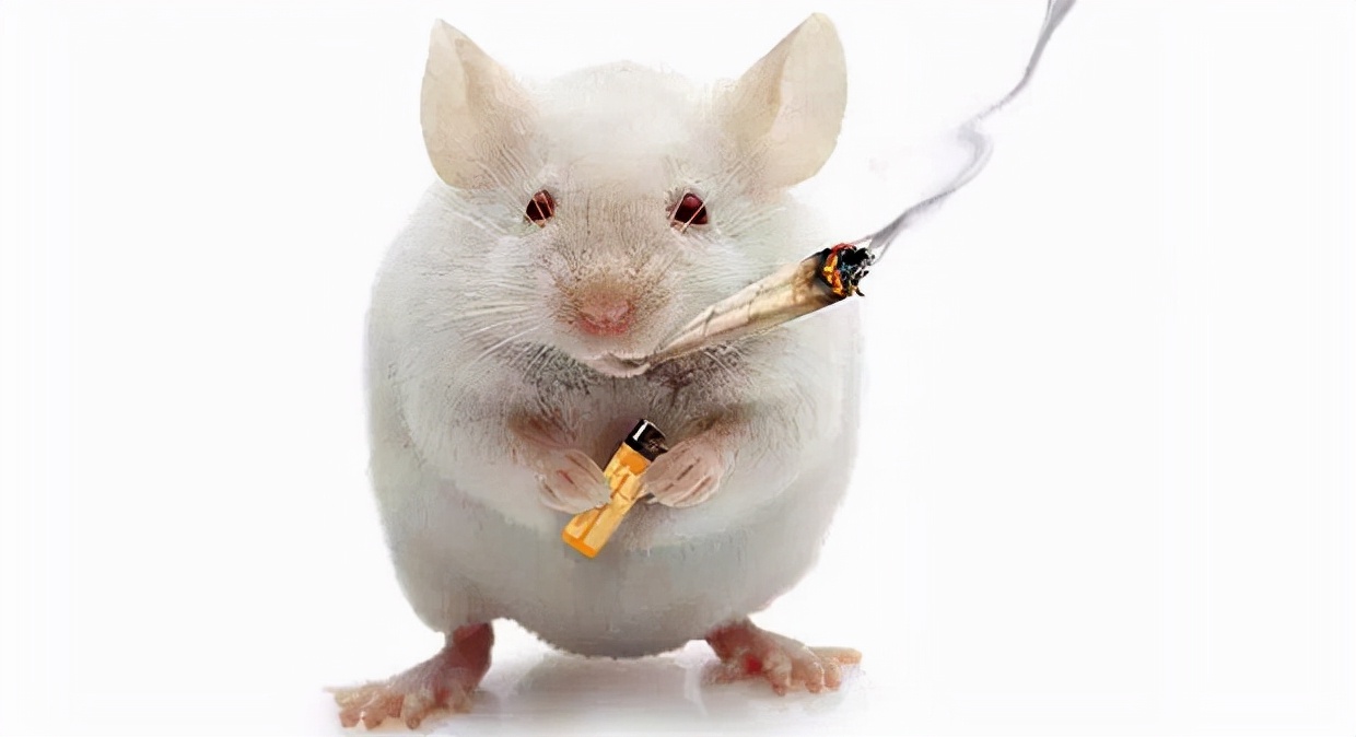 肺癌|肺癌越来越多，是因为空气不好？医生坦言：环境污染只是一方面