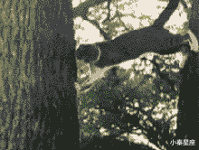 |搞笑GIF：100万一次，100万两次，好的后面大哥出500万，成交咣当...