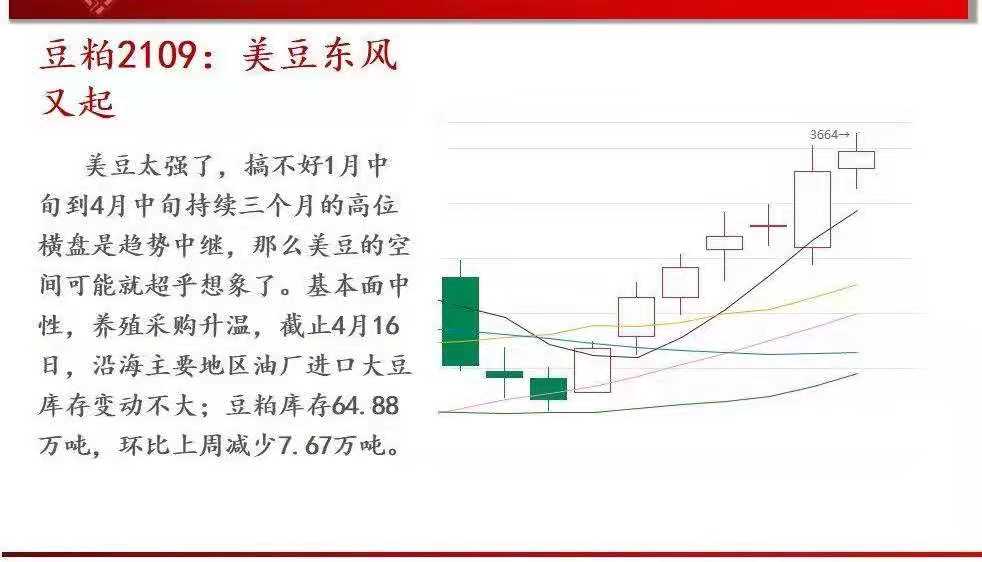 基本面 4月26日商品期货，农产品，黑色行情解析