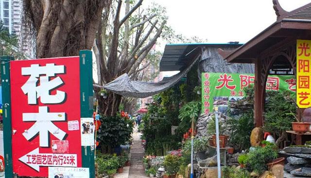 长脖子爸比说|3个小微产业兴起，抢走地摊生意？冷门却能赚钱，农民很“吃香”