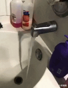 载人飞船 “人类历史上最大的一次赌博是什么?”人类可能因此灭绝吗?哈哈哈