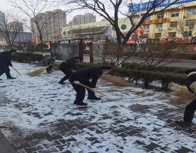 不动产登记|市不动产登记中心：积极开展清雪除冰活动 助力文明城市创建工作