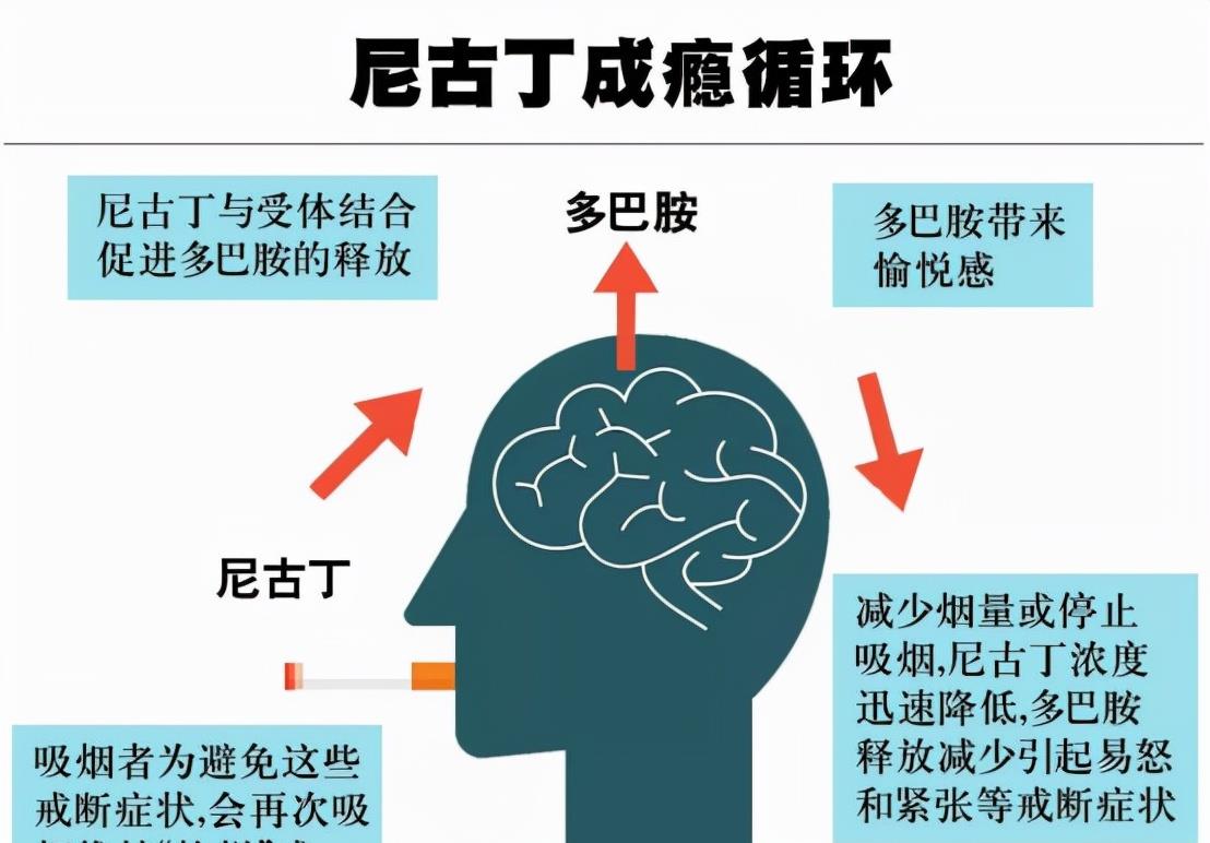 戒烟|人体一天可承受多少支烟？不要超过这个数，别不自知
