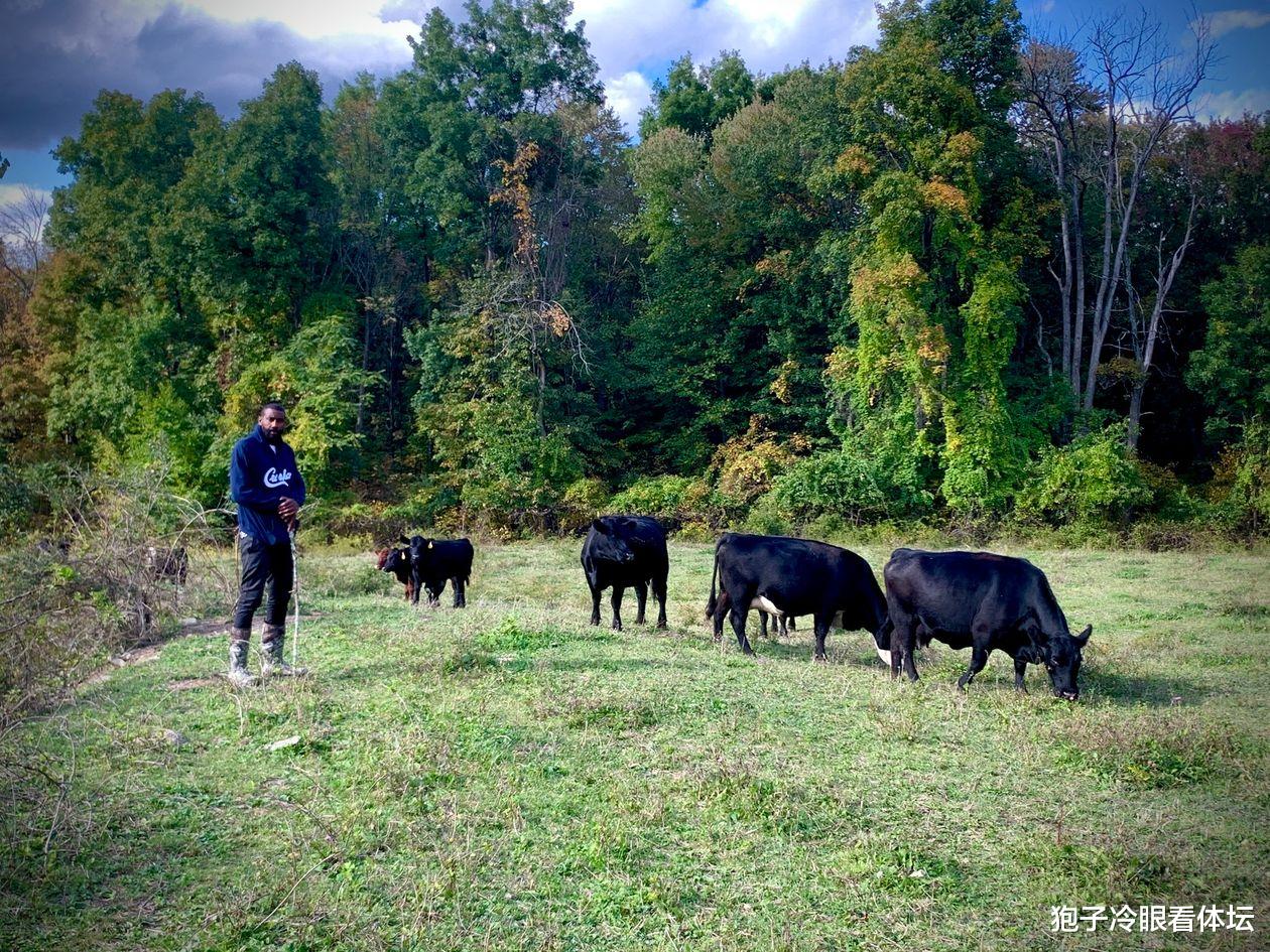 纽约|赛季结束 篮网助教斯塔德迈尔返回8万平农场：放牛砍柴种地样样精通