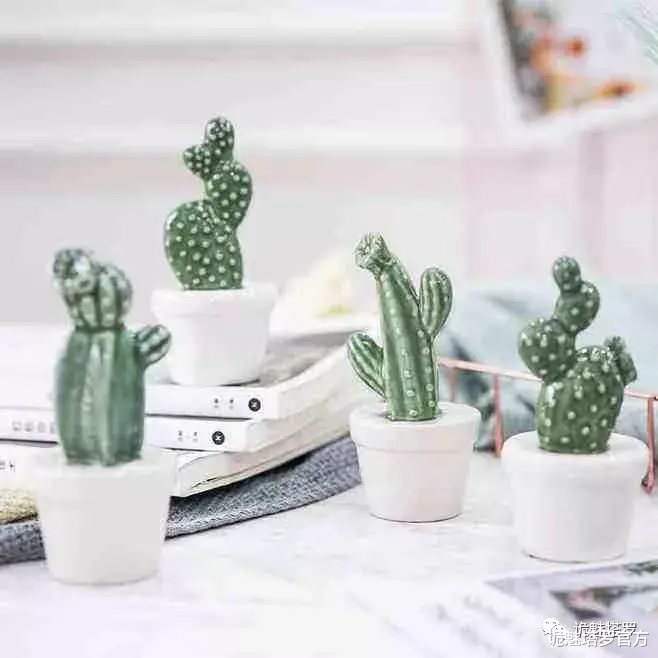 诡魅塔罗官方|【命理】这几个家居漏财的风水，你中招了吗？