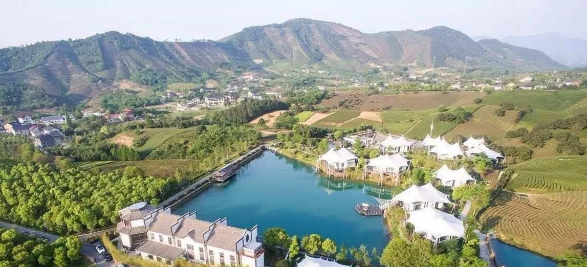 本可以不这么做的|浙江有个县市，年平均温度20度，网友：来对了地方