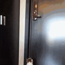 萌控孩|“在老婆包里发现的这个,这是干什么用的?”感觉不太妙啊哈哈哈~