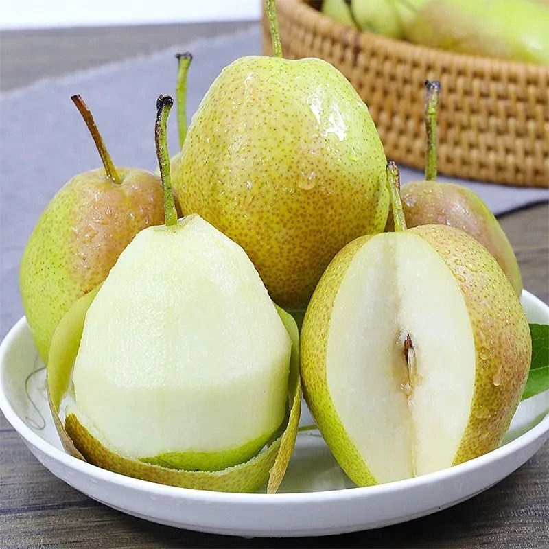 川贝|梨和它是绝配,秋天多吃,润肺止咳还去火