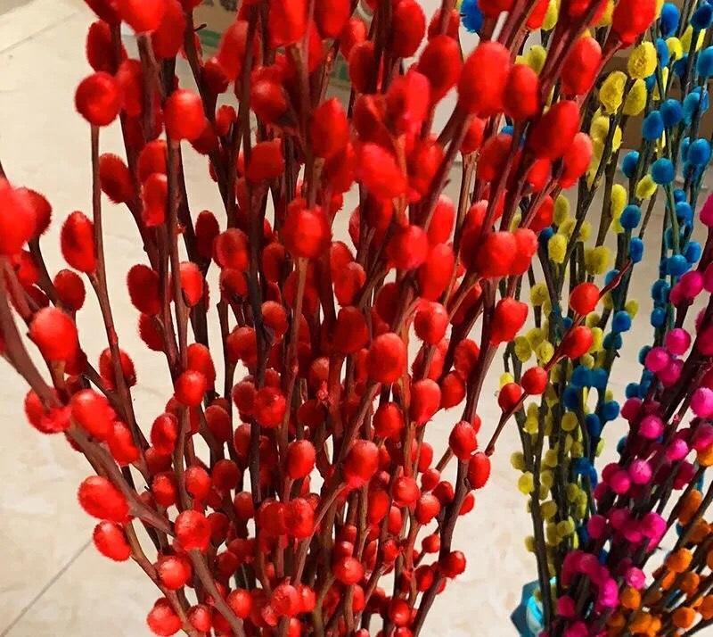 年底了，3种年宵花不要买，都是油漆染色的，不如一棵长寿花