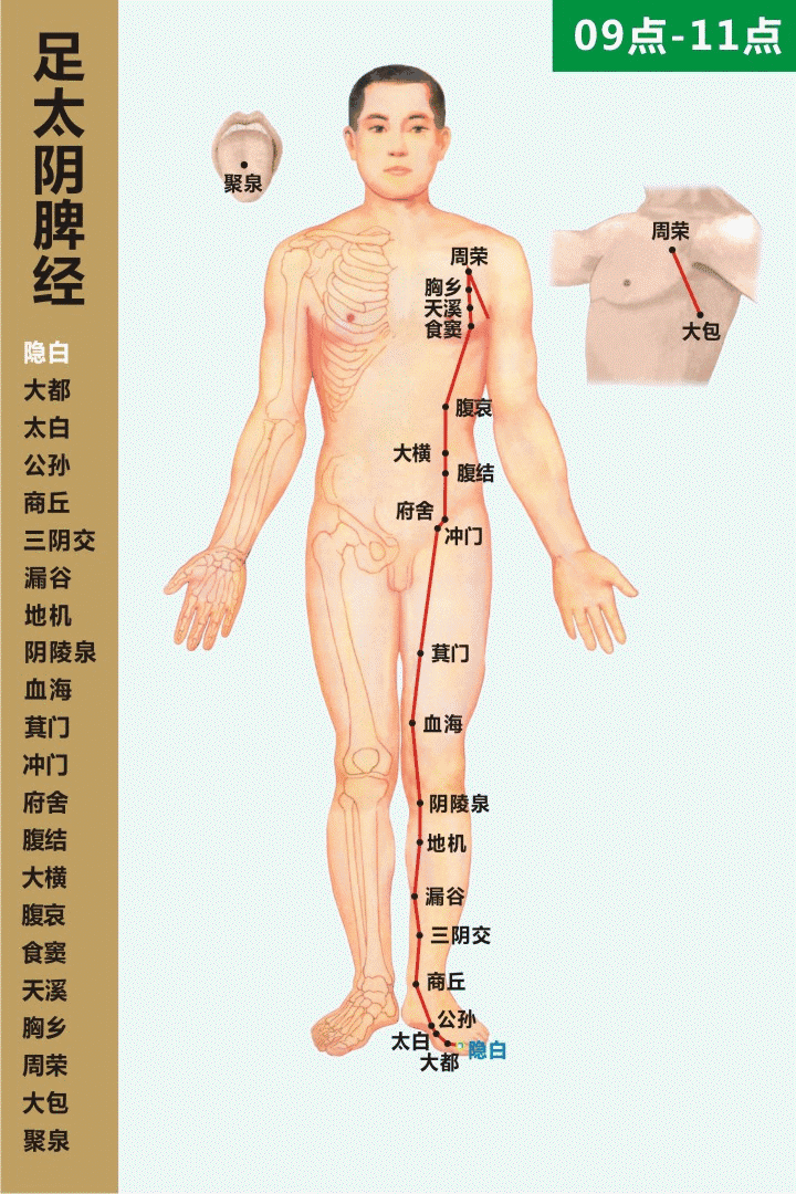 按摩 “饿瘦”不如“补瘦”！中医告诉你：不补脾，你就减不了肥！