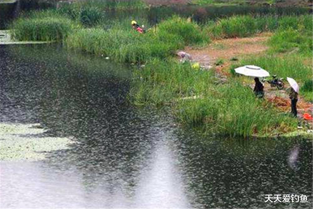 |春季鱼好钓，还有这些钓鱼谚语可以参考，想不“爆护”都很难！
