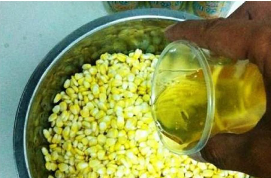 玉米|用玉米野钓,总是没有鱼口,还真不一定是玉米的问题