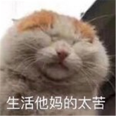 桉月|表情包：委屈难过的表情