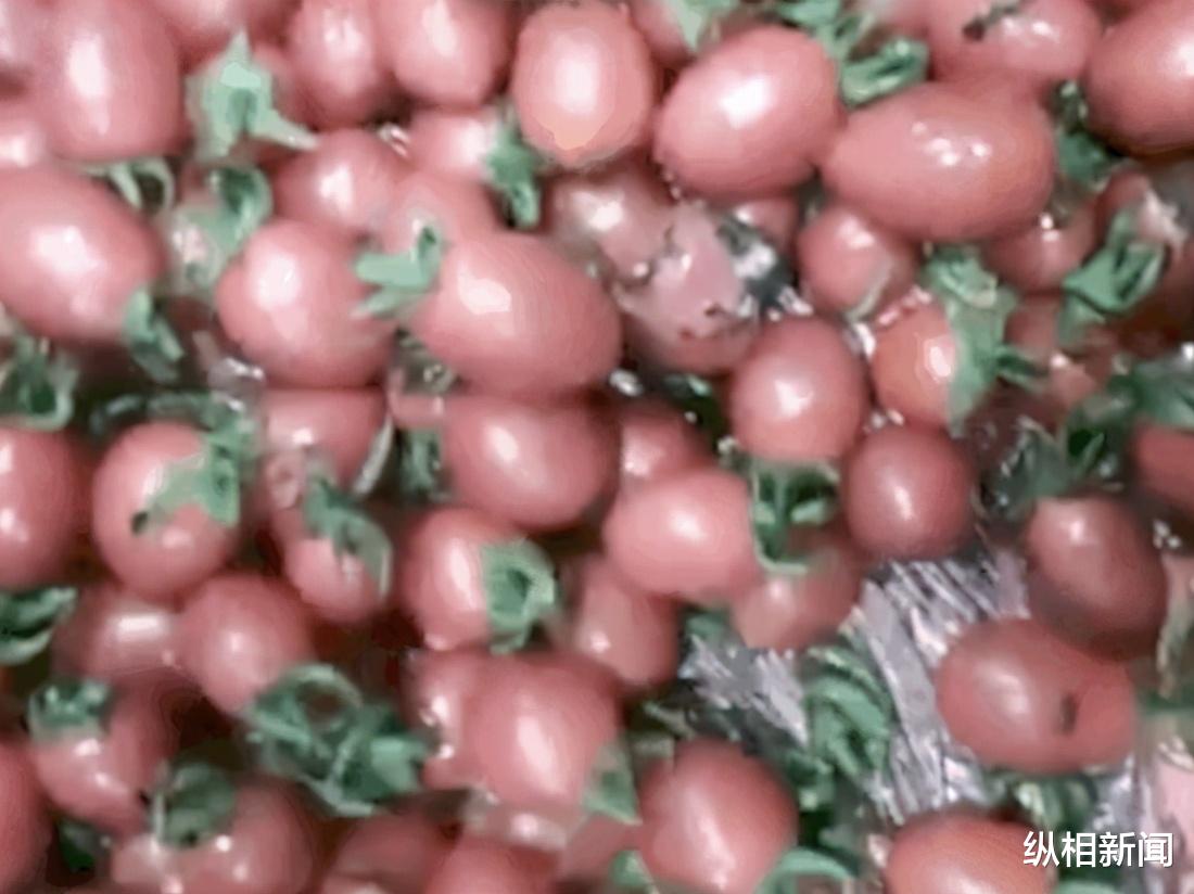 纵相新闻 安徽宁国一幼儿园现问题食物：3月曾接受食品安全突击检查，多名前员工表示此前无类似问题