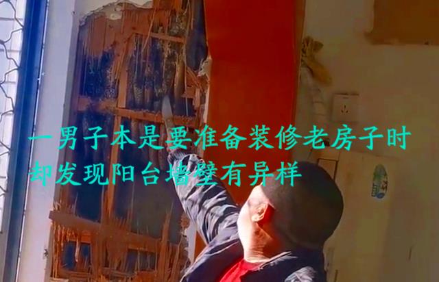 河南一男子想翻新老房子，在墙壁被敲开后下一幕让他乐了：赚到了