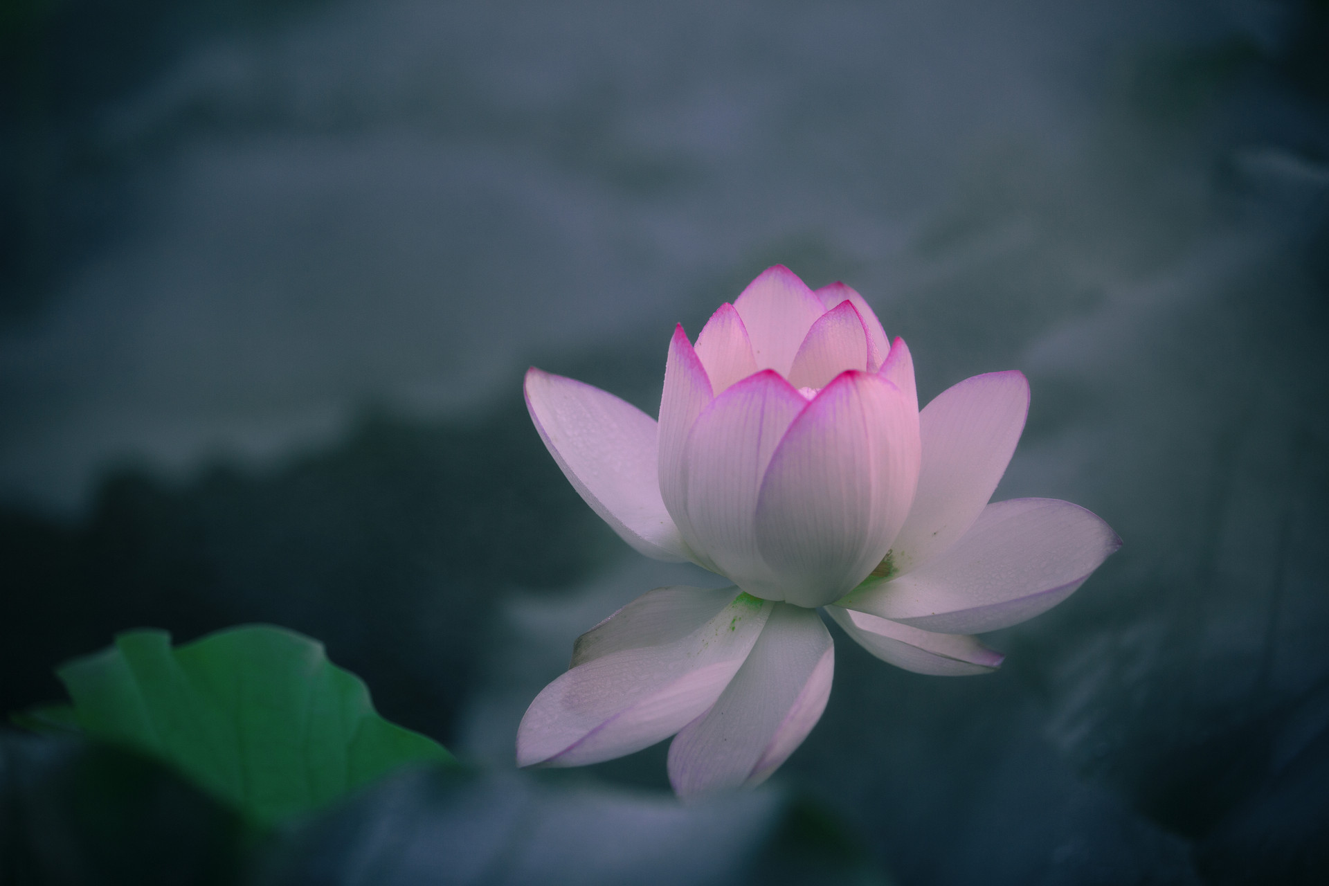 西厢有情|别着急，属于你的爱情，在路上