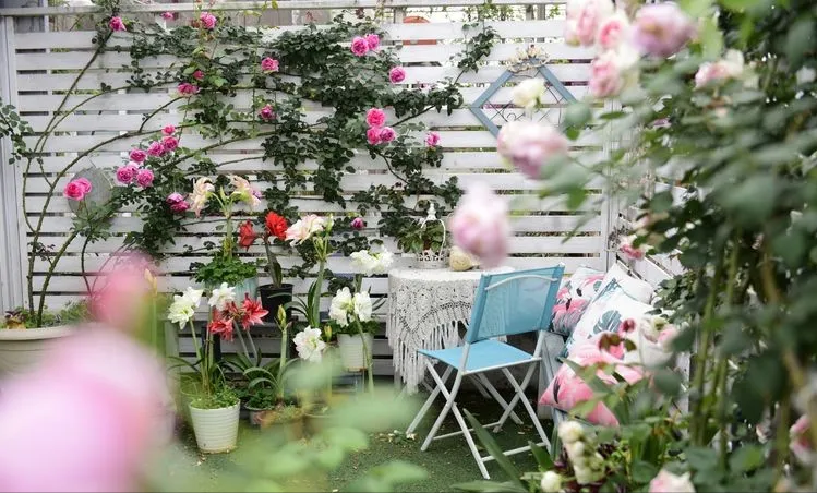 4年前，毫不犹豫买了这个带60㎡露台的房子，开始DIY改造小花园