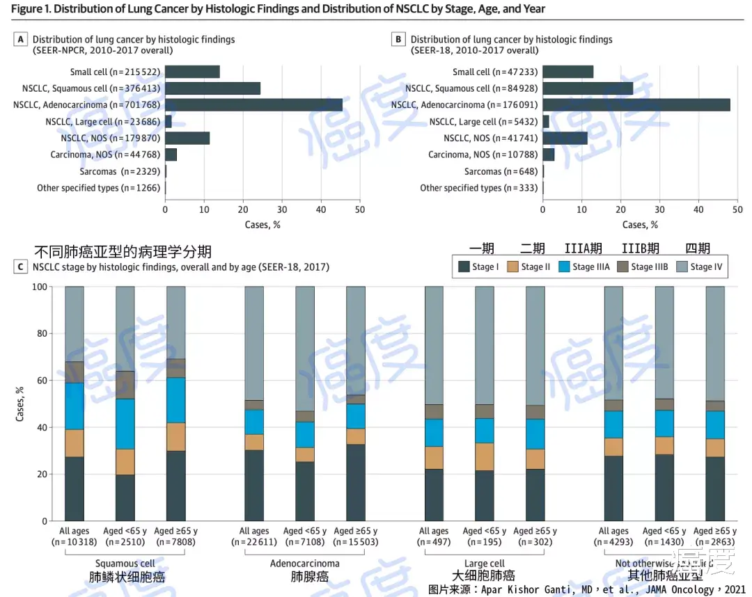 肺癌|他山之石:美国肺癌最新诊疗数据,我们能学到什么?
