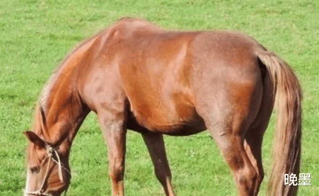 晚墨|这3生肖下半年桃花运大旺,让人羡慕不已