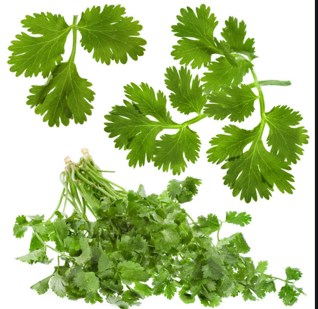 蔬菜|女生们在秋季应该多吃什么，有利于自己的身体健康，并美容养颜呢？