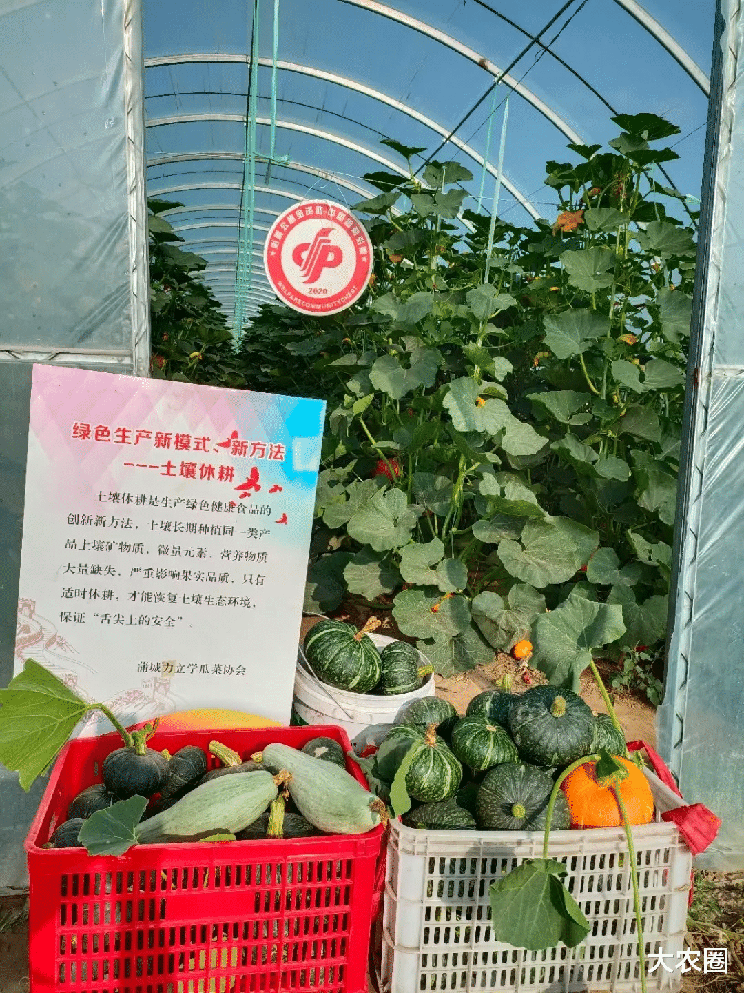 大农圈 益农社｜让每户年增收7500元——孙立学和他的益农信息社