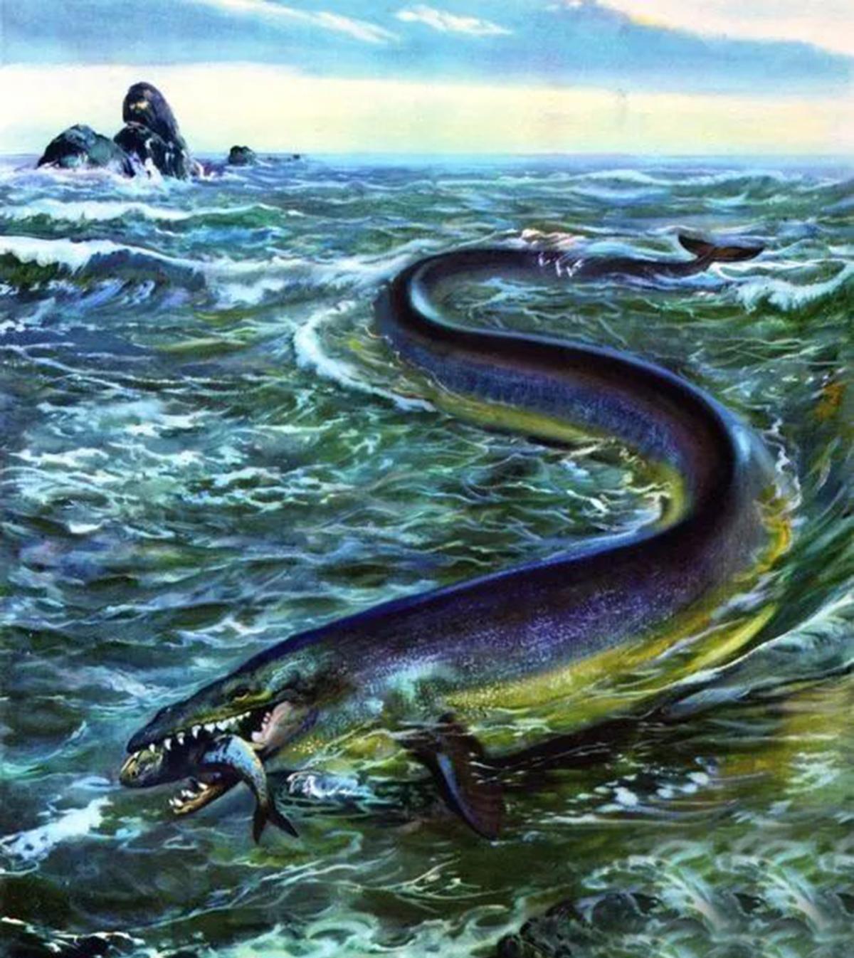 森然巨兽:古鲸豚逼死20米、80吨巨齿鲨,鲸豚家族如何制霸海洋?