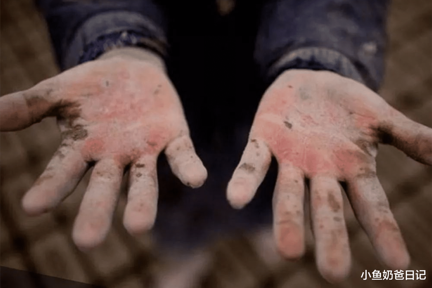 小鱼奶爸日记|孩子厌学就带去工地搬砖?“网红做法”并非万金油,仍要从心做起