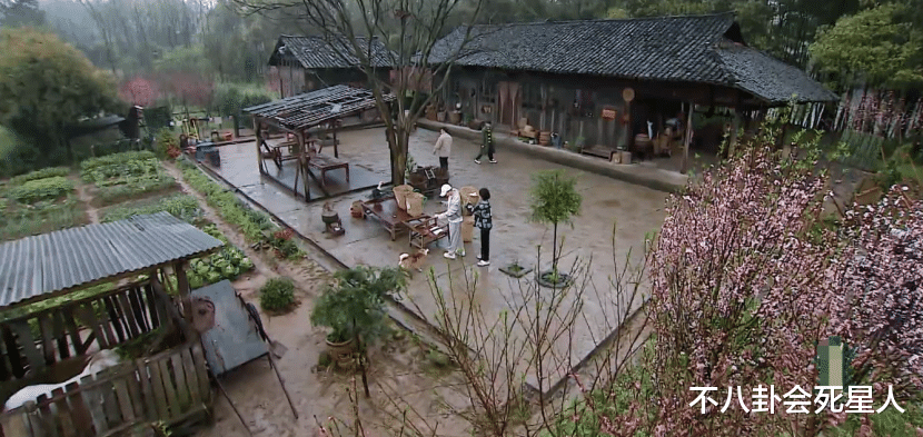 何炅|《向往5》开播，何炅秃顶戴假发，47岁的他终究是老了