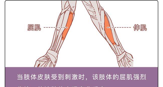 日本 为什么有些遗体在火化时会尖叫或坐起？难道是因为没死透？